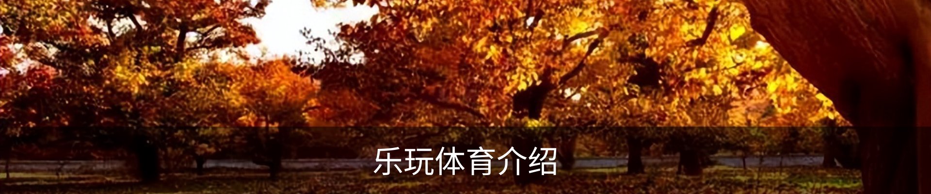 乐玩体育介绍